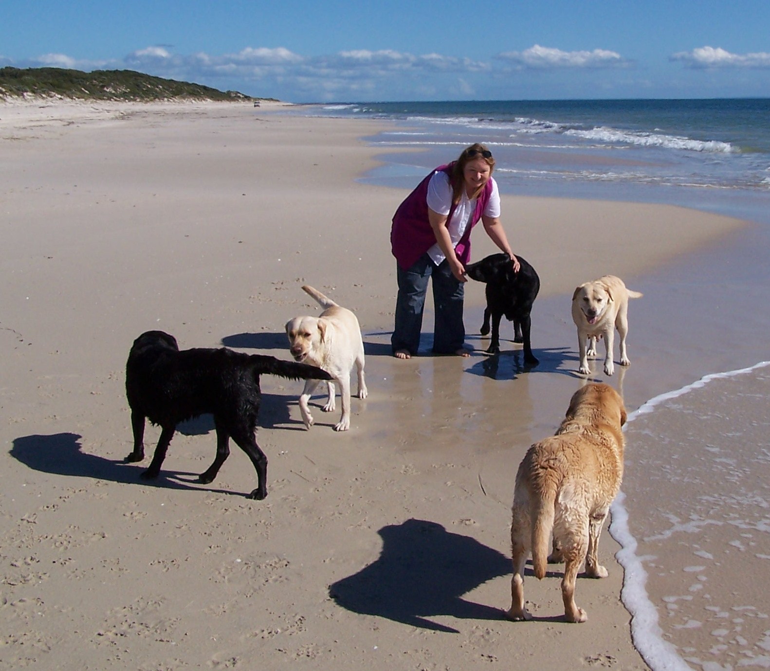 Alison with dogs at the beach