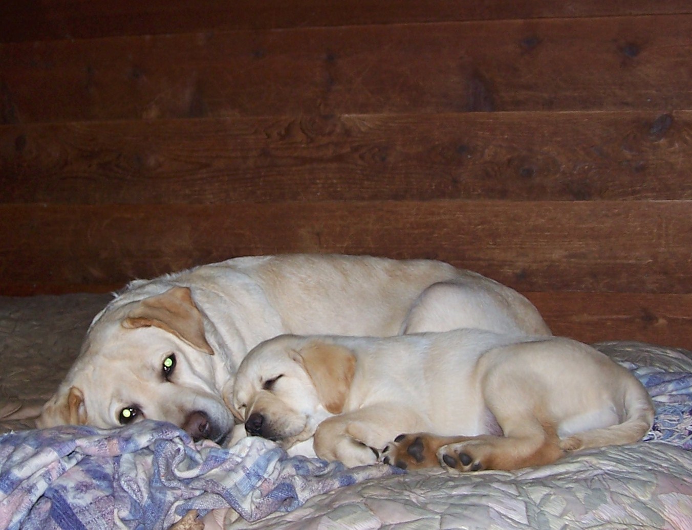 Gemma and Lucy