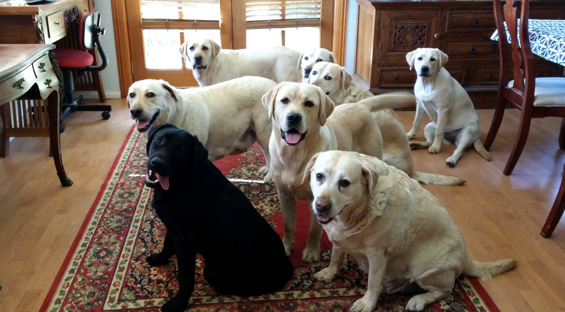 Full house